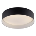 Schöner Wohnen 14593-18 - Lámpara de techo LED regulable TAVOLI, 10 W, 230 V, 2700-6500 K, Ø 28,5 cm, negro + mando a distancia