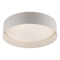Schöner Wohnen 14593-39 - Luminaria de techo LED regulable TAVOLI LED/10W/230V 2700-6500K Ø 28,5 cm gris + mando a distancia