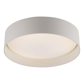 Schöner Wohnen 14593-39 - Luminaria de techo LED regulable TAVOLI LED/10W/230V 2700-6500K Ø 28,5 cm gris + mando a distancia
