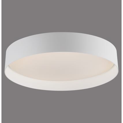Schöner Wohnen 14594-16 - Luminaria LED de techo regulable TAVOLI LED/20W/230V 2700-6500K Ø 39 cm blanca + mando a distancia