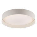 Schöner Wohnen 14594-39 - Lámpara de techo LED regulable TAVOLI LED/20W/230V 2700-6500K, diámetro 39 cm, gris + mando a distancia