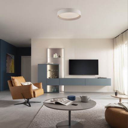 Schöner Wohnen 14594-39 - Lámpara de techo LED regulable TAVOLI LED/20W/230V 2700-6500K, diámetro 39 cm, gris + mando a distancia