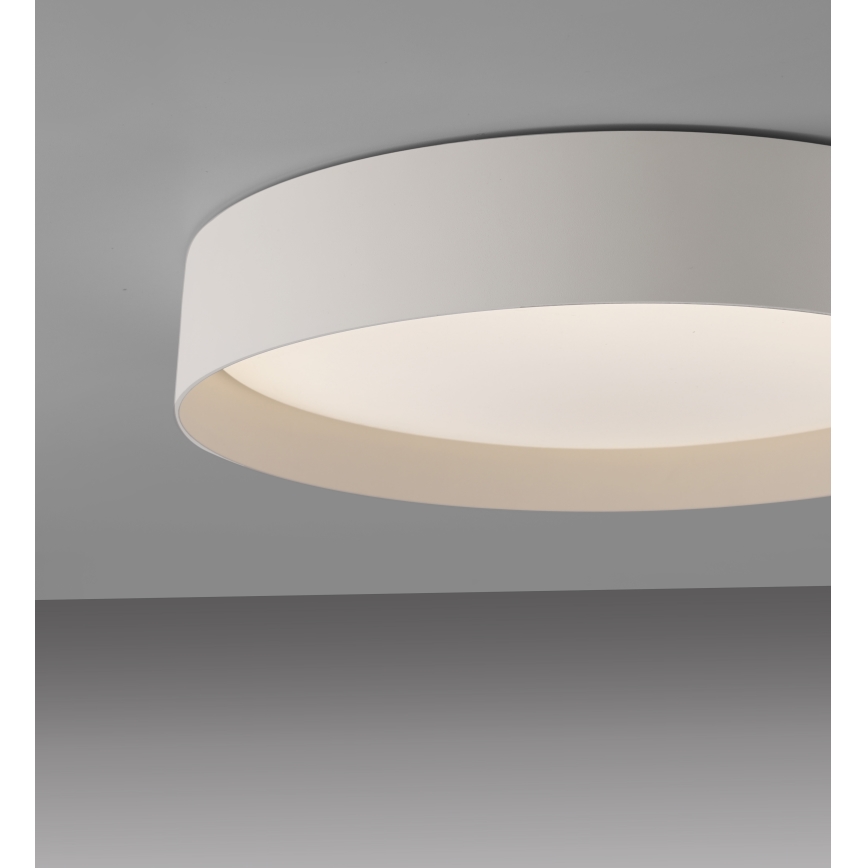 Schöner Wohnen 14594-39 - Lámpara de techo LED regulable TAVOLI LED/20W/230V 2700-6500K, diámetro 39 cm, gris + mando a distancia