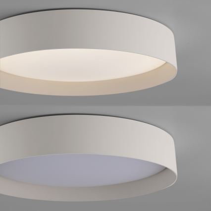 Schöner Wohnen 14594-39 - Lámpara de techo LED regulable TAVOLI LED/20W/230V 2700-6500K, diámetro 39 cm, gris + mando a distancia