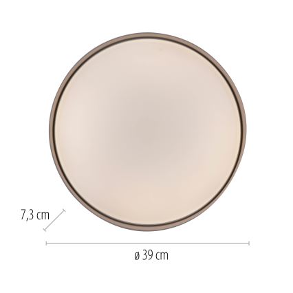 Schöner Wohnen 14594-39 - Lámpara de techo LED regulable TAVOLI LED/20W/230V 2700-6500K, diámetro 39 cm, gris + mando a distancia