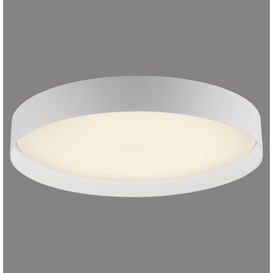 Schöner Wohnen 14595-16 - Plafón de techo LED regulable TAVOLI LED/34W/230V 2700-6500K diámetro 49 cm blanco + mando a distancia