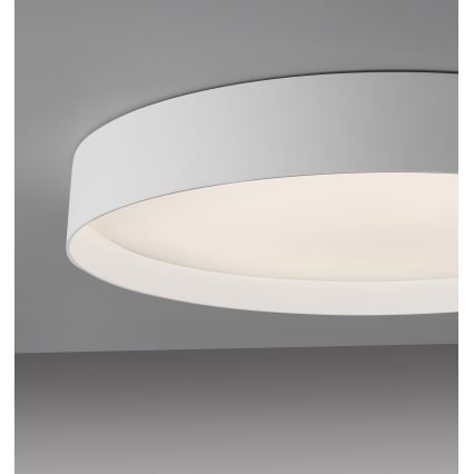 Schöner Wohnen 14595-16 - Plafón de techo LED regulable TAVOLI LED/34W/230V 2700-6500K diámetro 49 cm blanco + mando a distancia