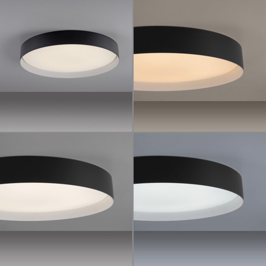 Schöner Wohnen 14595-18 - Lámpara de techo LED regulable TAVOLI LED/34W/230V 2700-6500K Ø 49 cm negra + mando a distancia