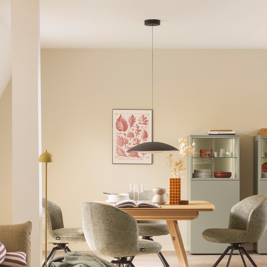 Schöner Wohnen 14606-18 - LENTE lámpara colgante LED regulable suspendida por cable LED/17W/230V Ø 40 cm negra