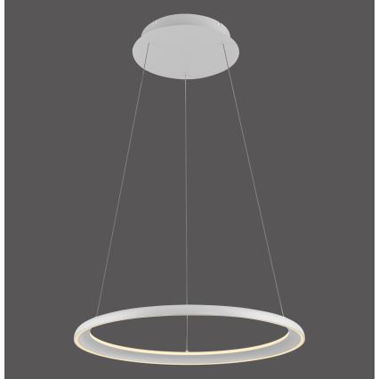 Schöner Wohnen 15570-16 - Lámpara colgante regulable con cable QUILLO LED/36W/230V Ø 60 cm blanca