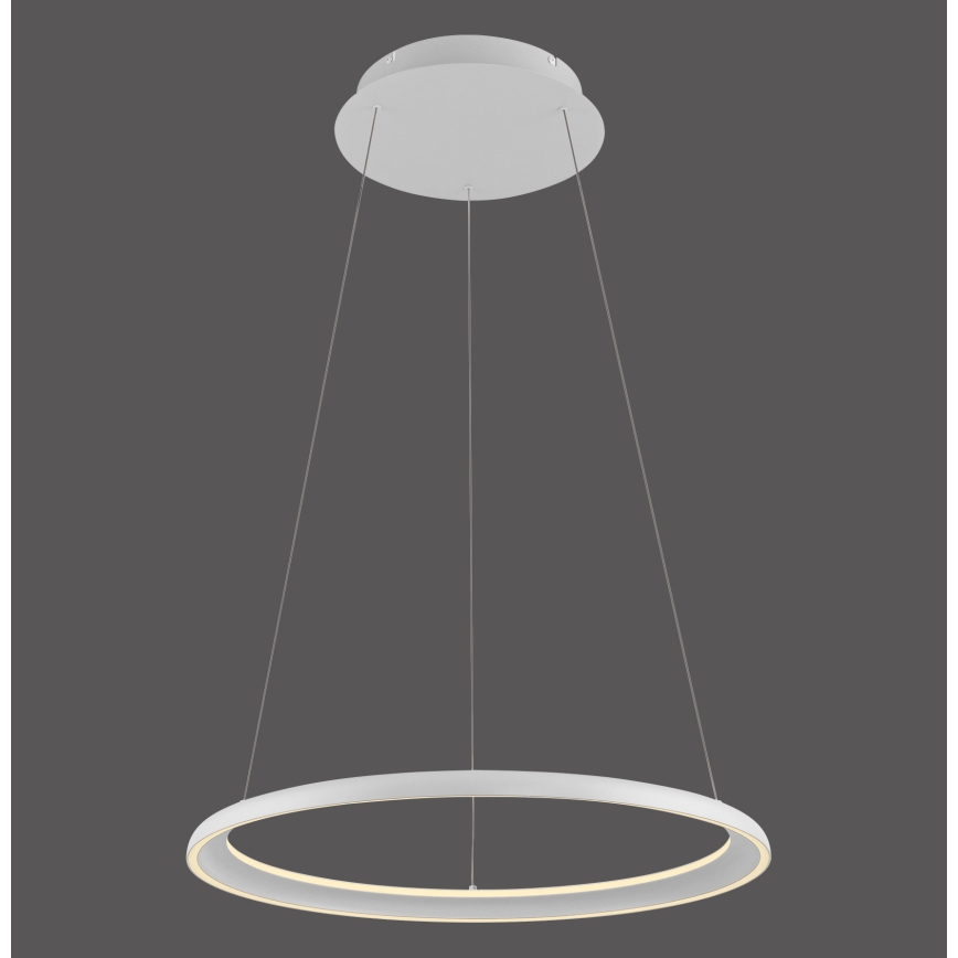 Schöner Wohnen 15570-16 - Lámpara colgante regulable con cable QUILLO LED/36W/230V Ø 60 cm blanca