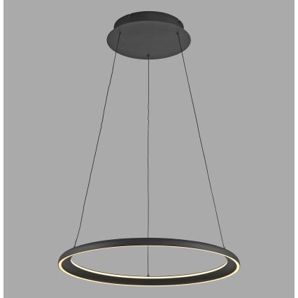 Schöner Wohnen 15570-18 - Lámpara colgante LED regulable con cable QUILLO LED/36W/230V Ø 60 cm negra