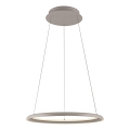 Schöner Wohnen 15570-39 - Lámpara colgante LED regulable con cable de suspensión QUILLO LED/36W/230V Ø 60 cm gris