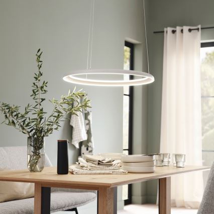 Schöner Wohnen 15570-39 - Lámpara colgante LED regulable con cable de suspensión QUILLO LED/36W/230V Ø 60 cm gris