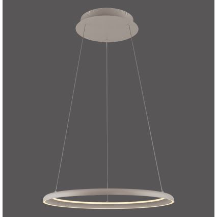 Schöner Wohnen 15570-39 - Lámpara colgante LED regulable con cable de suspensión QUILLO LED/36W/230V Ø 60 cm gris