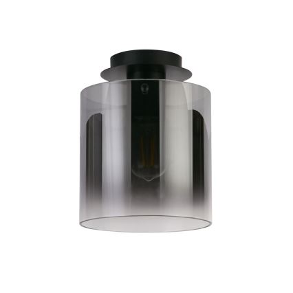 Searchlight - Lámpara de techo SWEDEN 1xE27/60W/230V Ø 22 cm negro/ahumado
