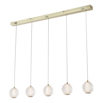 Searchlight - Lámpara colgante LED suspendida por cable ALLURE 5xLED/4,2W/230V