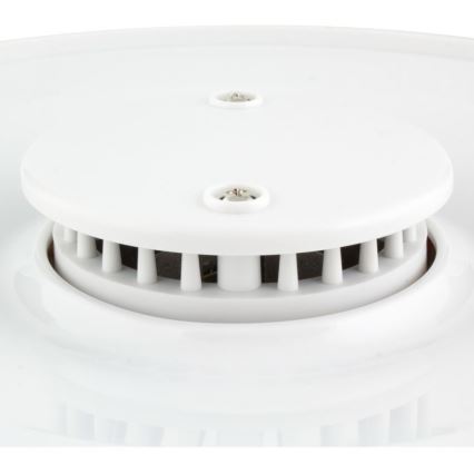 Sencor - Deshidratador de alimentos 250W/230V