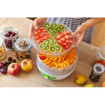 Sencor - Secador de alimentos con termorregulación 250W/230V