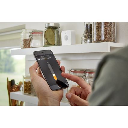 Sensor de movimiento Philips Hue 2xAAA IP42