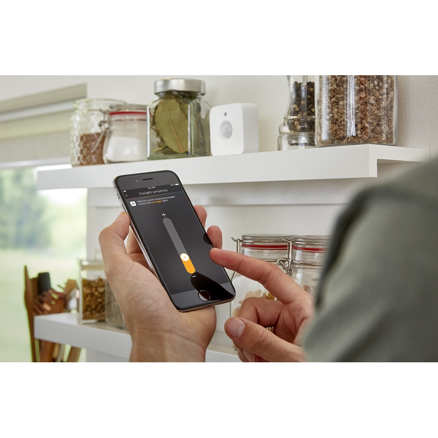 Sensor de movimiento Philips Hue 2xAAA IP42