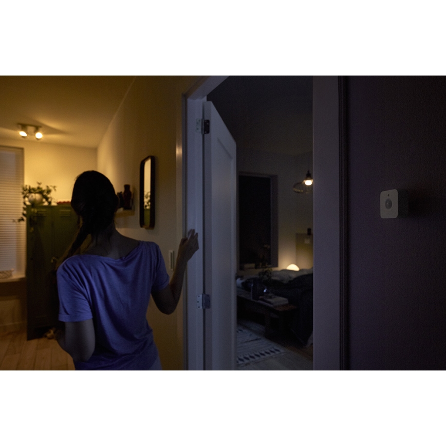 Sensor de movimiento Philips Hue 2xAAA IP42