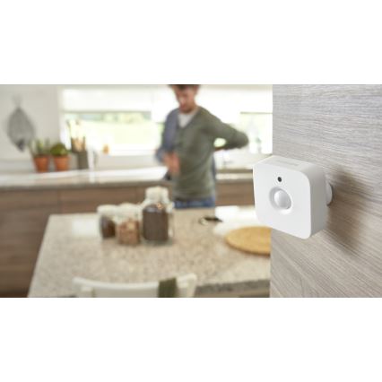 Sensor de movimiento Philips Hue 2xAAA IP42