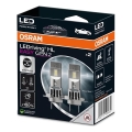 SET DE 2x Bombilla LED para coche EASY GEN H7 PX26d/16W/12V 6500K - Osram