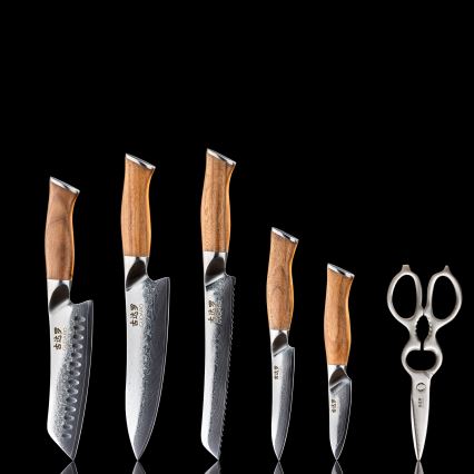 Gudaro - JUEGO de 5 cuchillos de cocina de acero Damasco TAKUMI + soporte para cuchillos y tijeras para aves