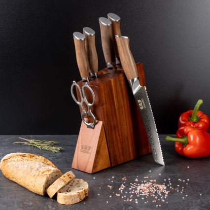 Gudaro - JUEGO de 5 cuchillos de cocina de acero Damasco TAKUMI + soporte para cuchillos y tijeras para aves