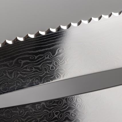 Gudaro - JUEGO de 5 cuchillos de cocina de acero Damasco TAKUMI + soporte para cuchillos y tijeras para aves