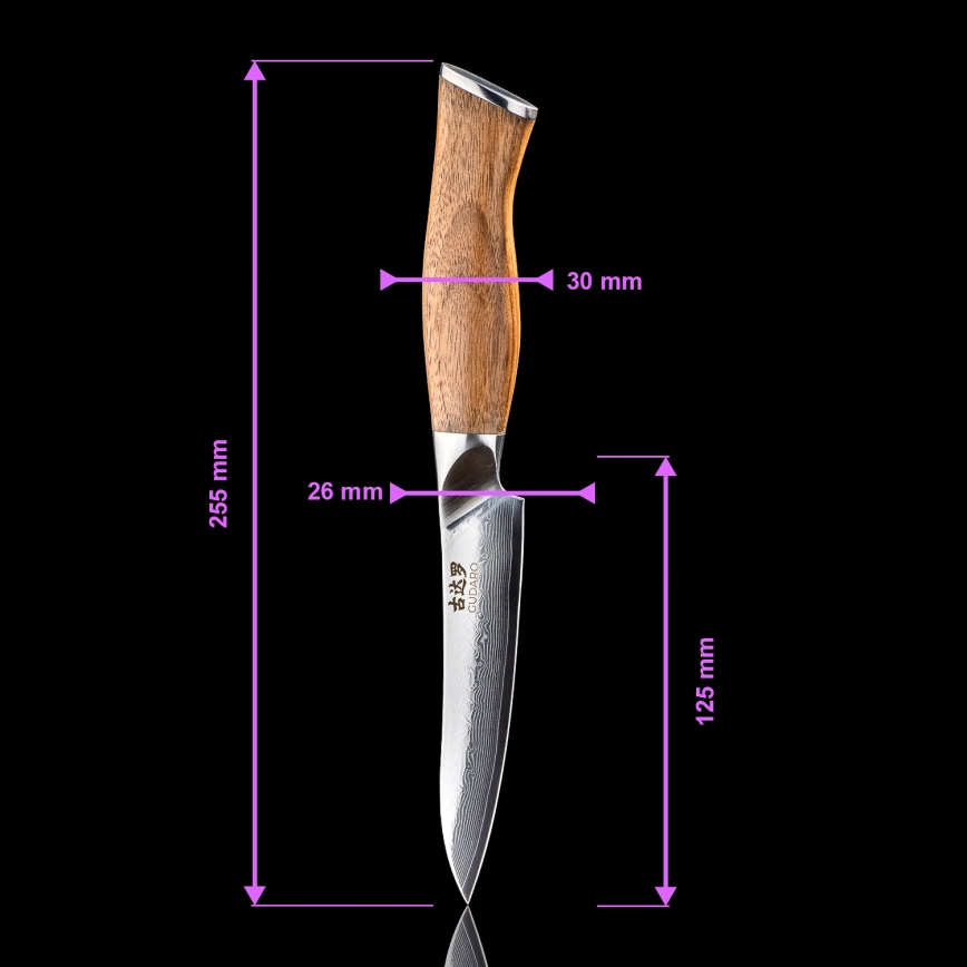 Gudaro - JUEGO de 5 cuchillos de cocina de acero Damasco TAKUMI + soporte para cuchillos y tijeras para aves