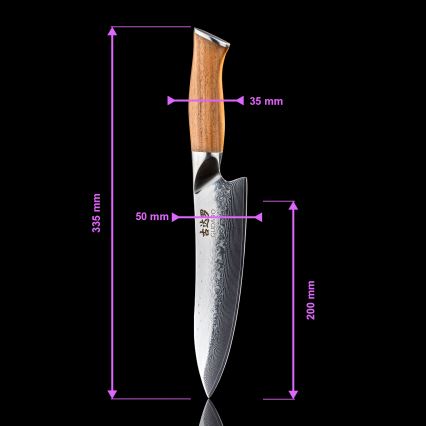 Gudaro - JUEGO de 5 cuchillos de cocina de acero Damasco TAKUMI + soporte para cuchillos y tijeras para aves