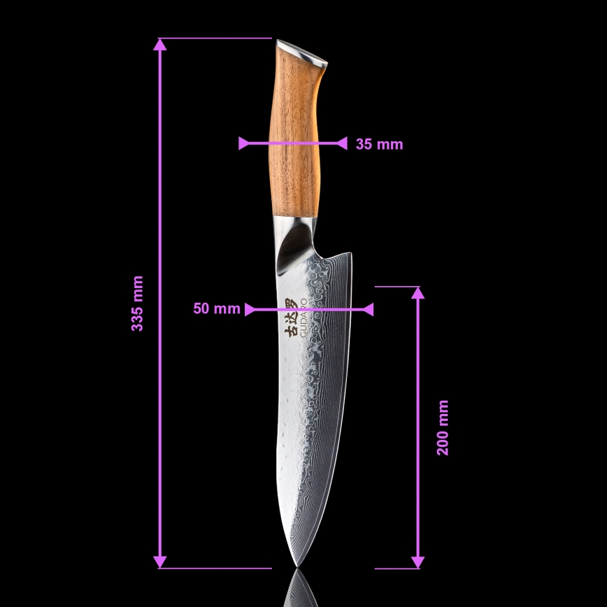 Gudaro - JUEGO de 5 cuchillos de cocina de acero Damasco TAKUMI + soporte para cuchillos y tijeras para aves