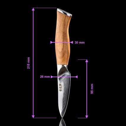 Gudaro - JUEGO de 5 cuchillos de cocina de acero Damasco TAKUMI + soporte para cuchillos y tijeras para aves