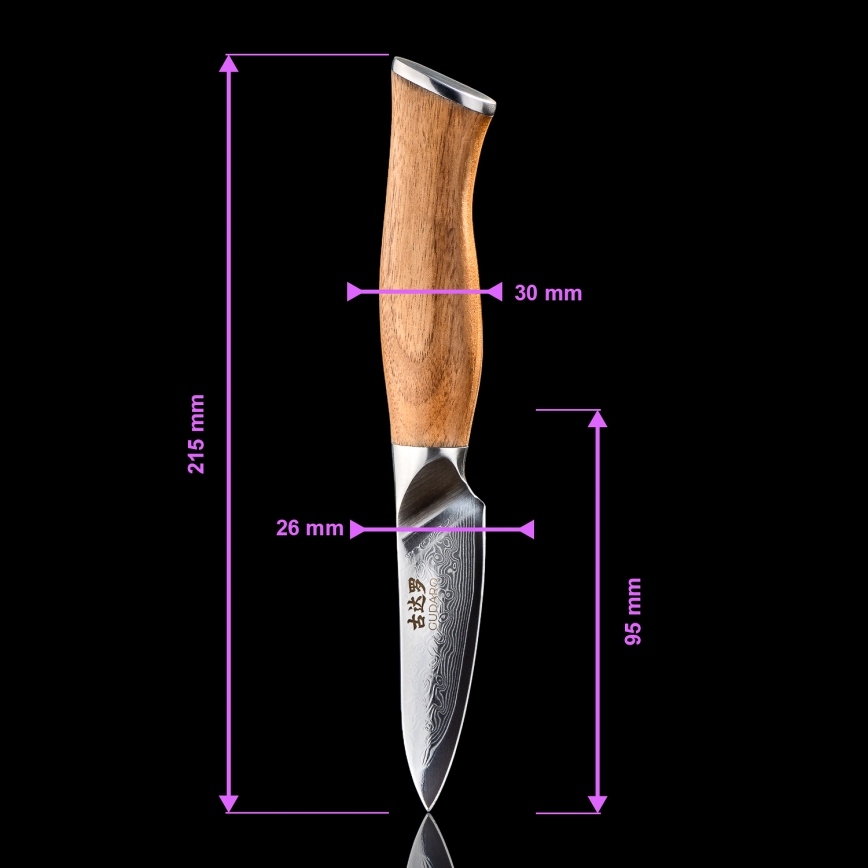 Gudaro - JUEGO de 5 cuchillos de cocina de acero Damasco TAKUMI + soporte para cuchillos y tijeras para aves
