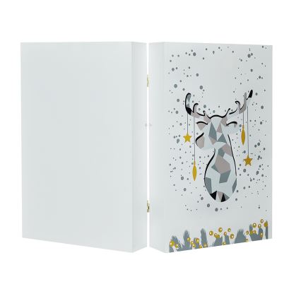 Calendario de Adviento LED/2xAAA