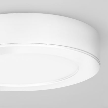 Panel LED 2 en 1 para montaje en superficie/empotrado LED/12W/230V 3000/4000/6000K Ø17cm IP54 blanco