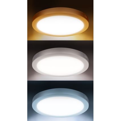 LED panel de superficie/empotrable 2 en 1 24W/230V 3000/4000/6000K Ø 30 cm IP54 plateado
