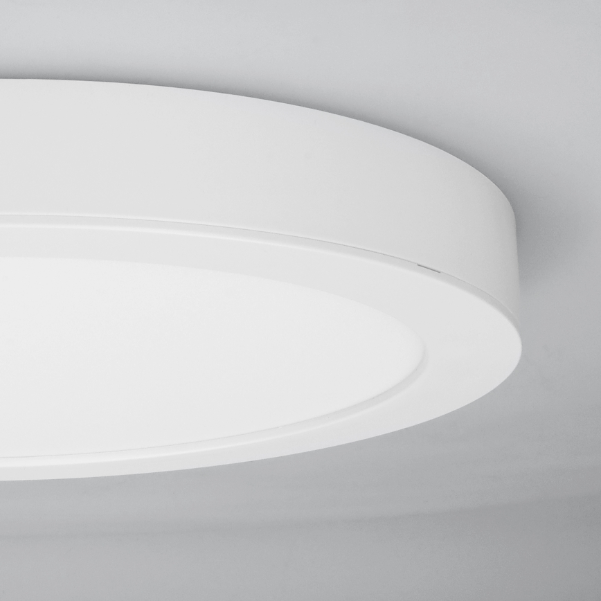 Panel LED 2 en 1 para montaje en superficie o empotrado, 24 W/230 V, 3000/4000/6000 K, diámetro 30 cm, IP54, blanco
