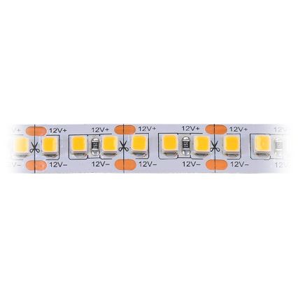 Cinta LED LED/80W/12V 5m blanco frío