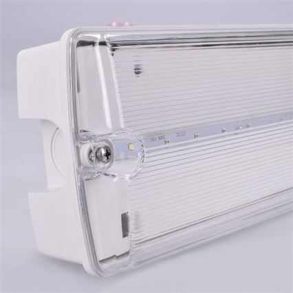 Luz de emergencia LED LED/3,2W/230V IP65 6500K