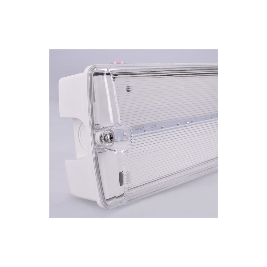 Luz de emergencia LED LED/3,2W/230V IP65 6500K
