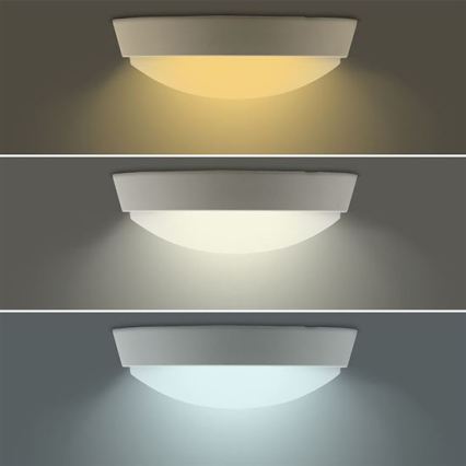 Aplique LED de pared exterior 2 en 1 LED/20W/230V 3000/4000/6500K IP65 Ø 22 cm