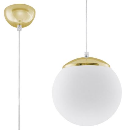 Lámpara colgante con cable TOYA 1xE27/60W/230V Ø 20 cm blanca/dorada