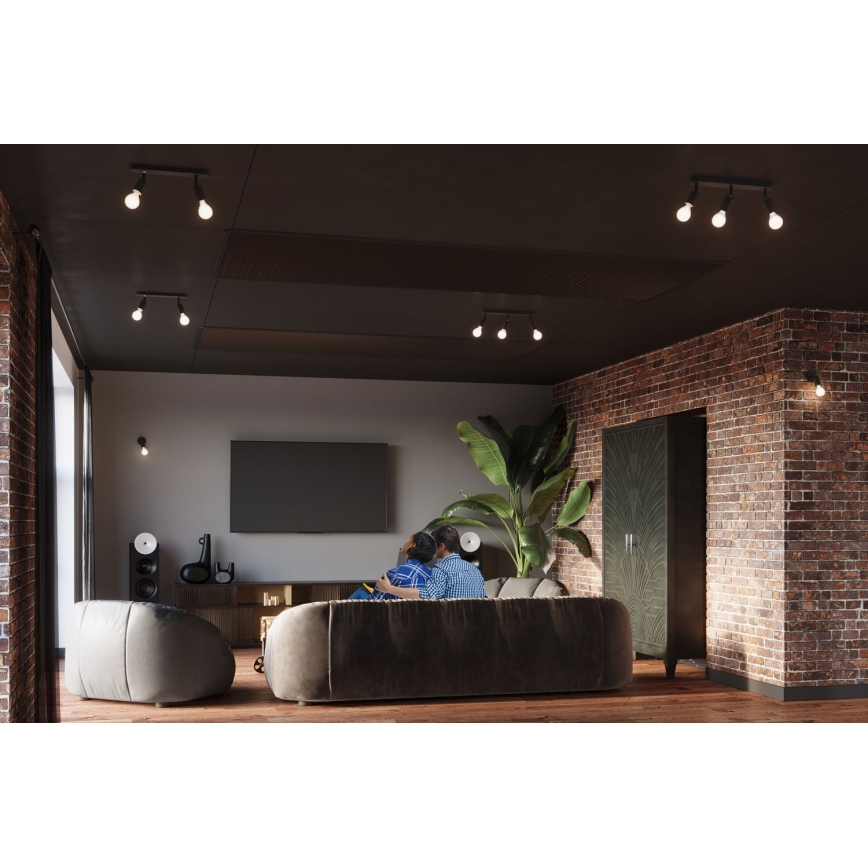 Aplique de pared con foco FORNES 1xE27/60W/230V negro