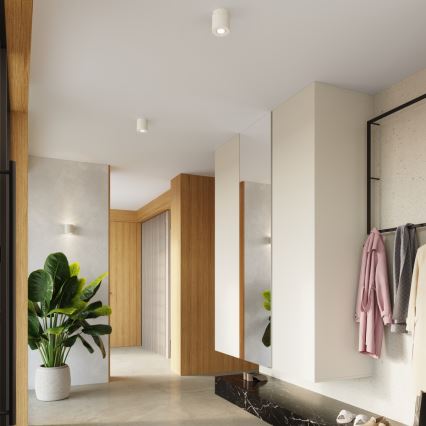 Foco orientable ORBIS 1xGU10/10W/230V hormigón/crema
