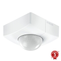 STEINEL 010478 - Sensor de movimiento exterior IS3360 AP COM1 IP54