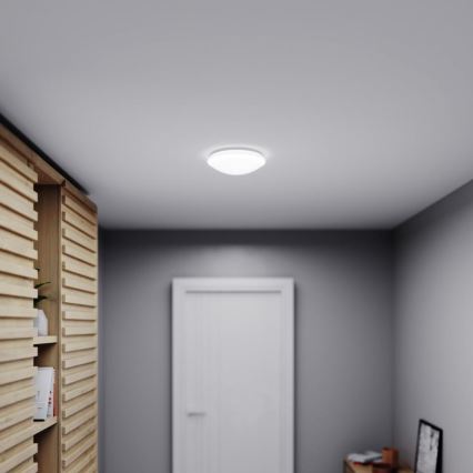 STEINEL 035105 - Iluminación LED para el baño con sensor RS 16 LED G LED/9,5W/230V