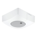 Steinel 057411 - Sensor de luz DUAL-E DALI2 cuadrado blanco
